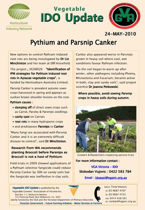 DOWNLOAD : Pythium and Parsnip Canker : 137kb