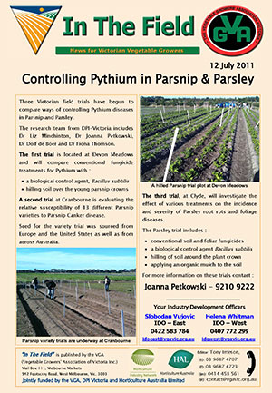 Pythium control on Parsnip & Parsley crops