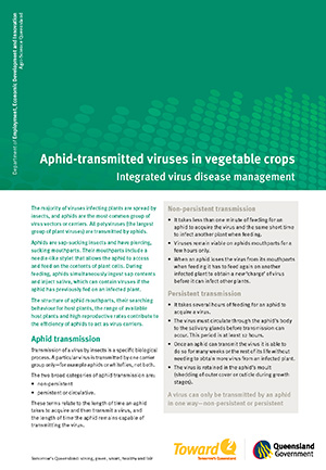 Managment of aphid transmitted viruses