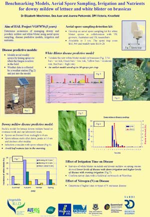 VG07070 - Benchmarking Models, Aerial Spore Sampling, Irrigation and Nutrients
for downy mildew of lettuce and white blister on brassicas 
