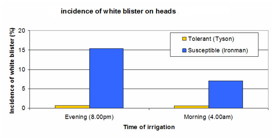 VG07070 - Effect of  Irrigation timing and Resistant cultivars on White Blister