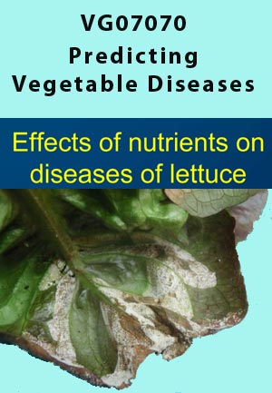 VG07070 - Effects of Nitrogen on diseases of lettuce, Downy Mildew & Anthracnose - 2010