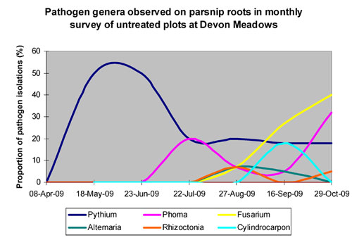 Pathogenic fungi (Fusarium, Phoma, Rhizoctonia & others), entered crops after the cool period