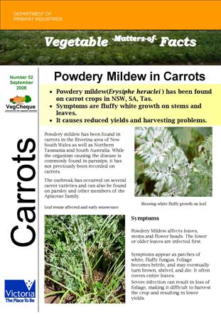Matters of Facts #52 Powdery Mildew Carrots September 2008