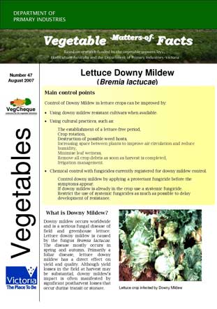 Matters of Facts #47 Lettuce Downy Mildew August 2007