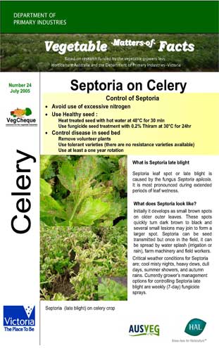 Matters of Facts #25 Celery Septoria, Leaf Spot, Leaf Blight  July 2005