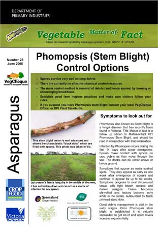 Matters of Facts #23 Asparagus Phomopsis, Stem Blight  June 2005