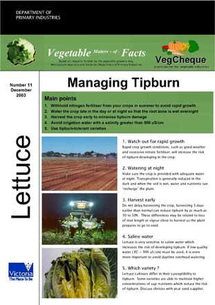 Matters of Facts #11 Lettuce Tipburn, December 2003
