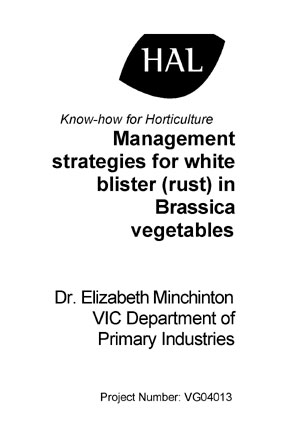 VG04013 Brassica White Blister