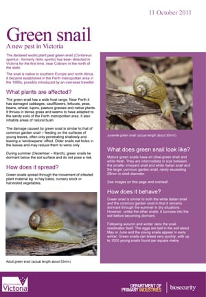 Green Snail - a NEW pest in Victoria