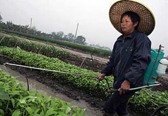 Pesticide use in China