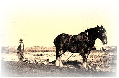 ploughing with horse