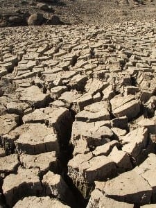 drought pic