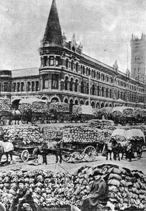 Veg to Sydney Flinders Street Station  ca. 1900