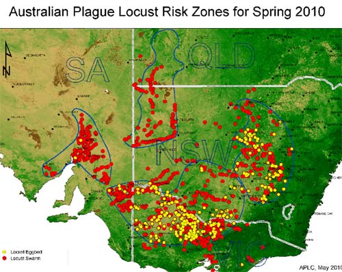 Australian Plague Locust - risk zones Spring 2010.jpg