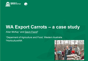 Carrot case study