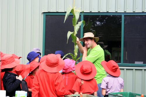 Coburg Primary Schools adopted Farmer