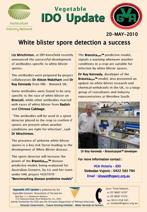 Antibodies to detect White blister spores
