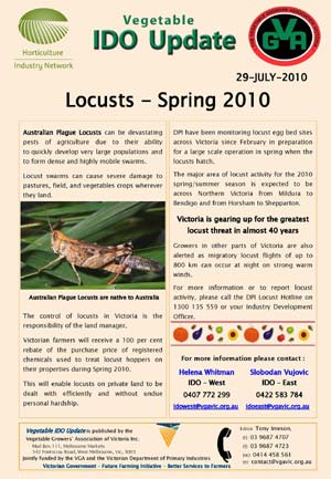 Australian Plague Locusts 2010