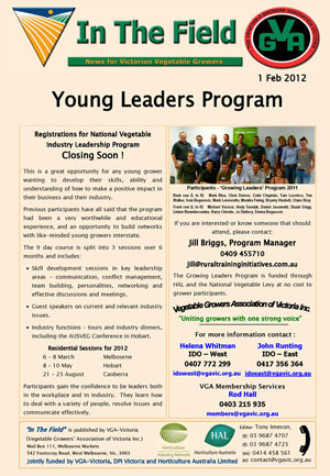 Young leaders Program