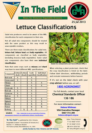 Lettuce Classification