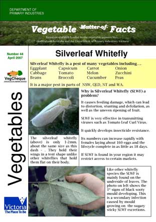 Matters of Facts #44 Silverleaf Whitefly April 2007