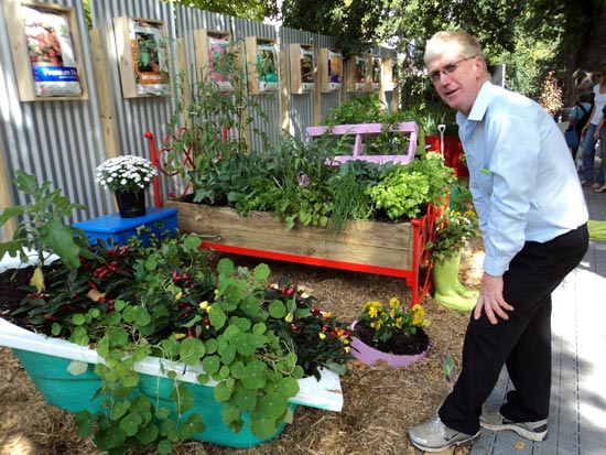 VGA President David Wallace inspects a vegetable display