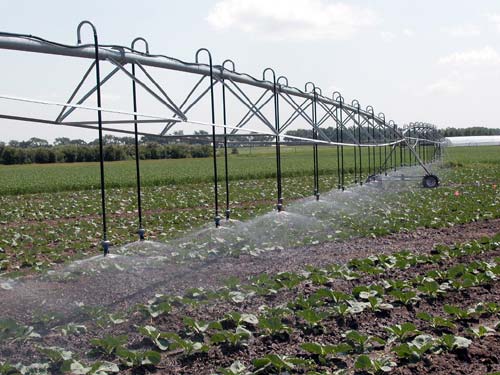 Vegetable production is intensive, often requiring large inputs of water and nutrients.