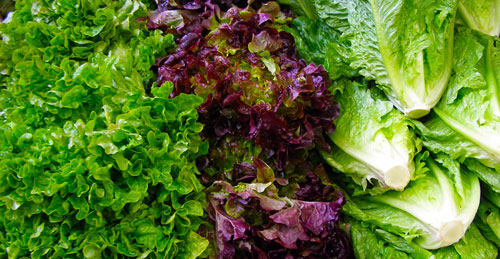 Other Lettuce types