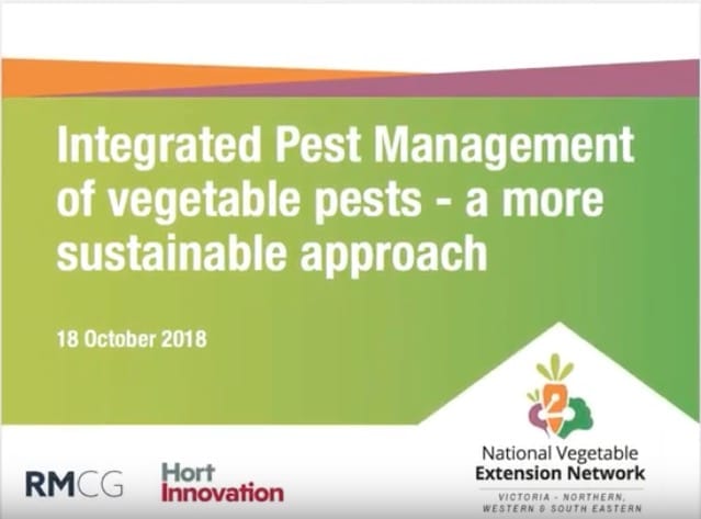 Integrated Pest Management of vegetable pests - a more sustainable approach (webinar recording)