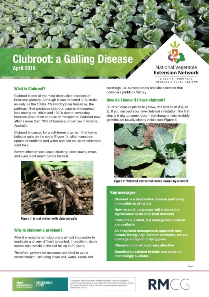 Clubroot: a Galling Disease