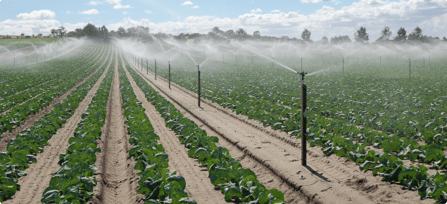 Planning for Summer - Irrigation and Water Management
