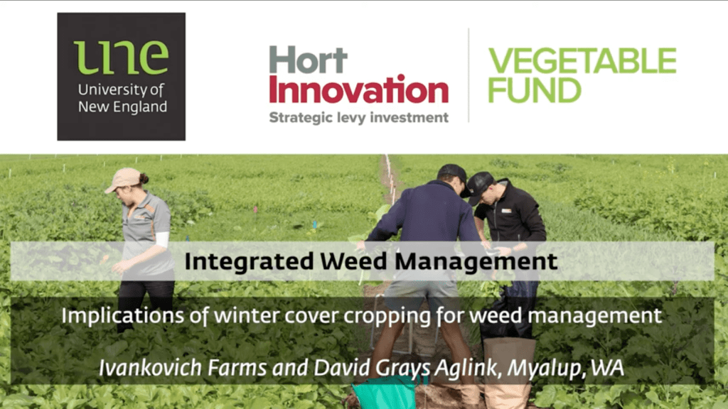 Winter Cover Cropping for Weed Management - Aglink & Ivankovich Farms