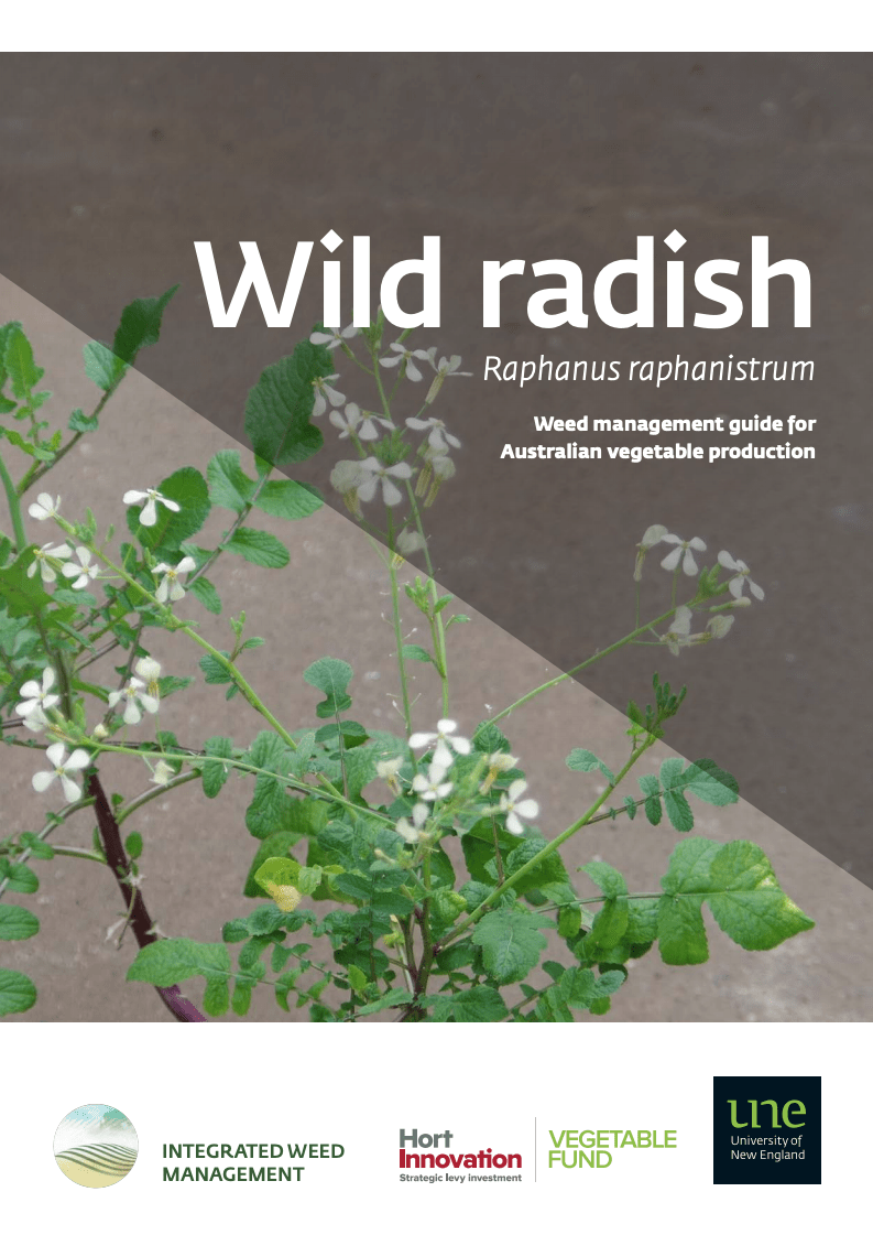 Weed Management Guide - Wild radish (Raphanus raphanistrum)