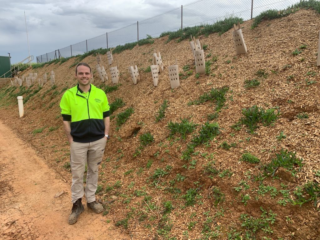 Beneficial bugs boosted through native vegetation insectaries trials in Werribee