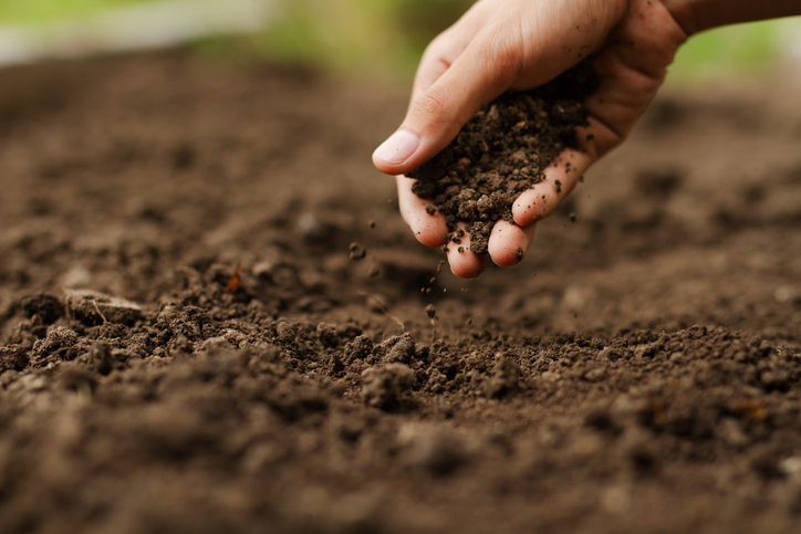 Tech time: A guide to getting soil moisture monitoring right